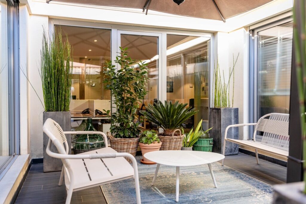 Le patio végétalisé